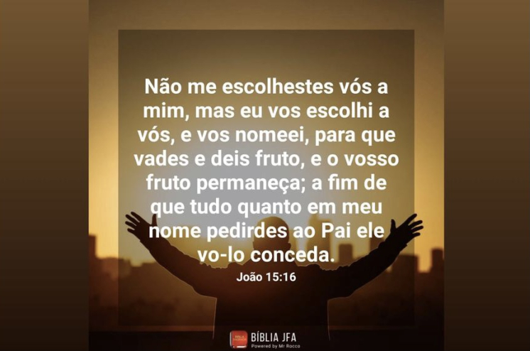 Escolhas